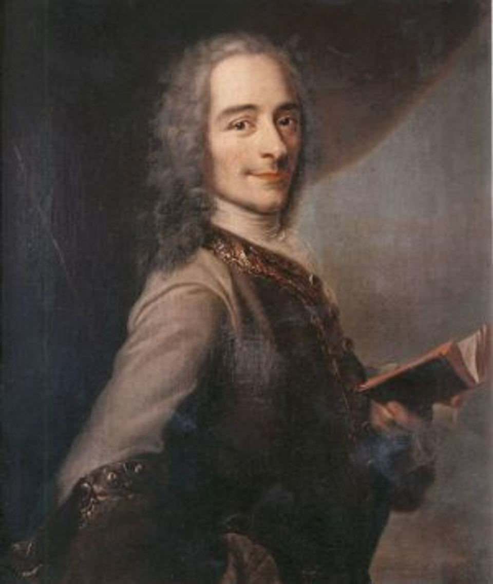 Portrait of Voltaire Reading