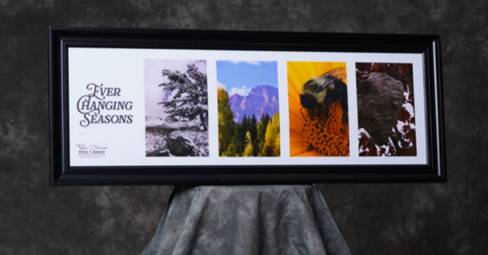A frame featuring four nature scenes